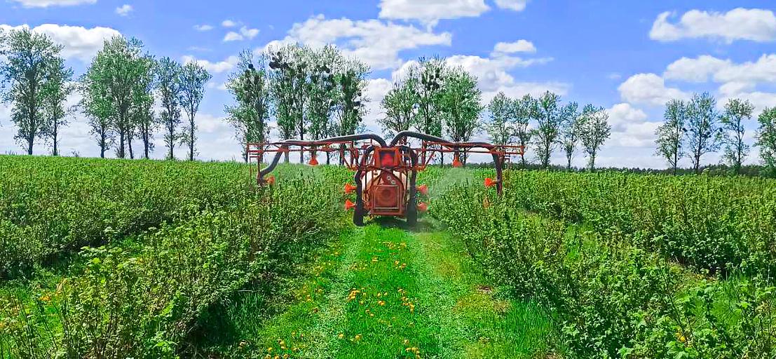 Опрыскиватель для кустарников (смородины, малины, голубики) фото 3