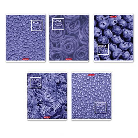 Тетрадь общая на скобе А5+, 48 л., клетка, Черничный рай, 48ТСК5_1_3_1_000308, SVETOCH фото 1