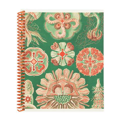 Тетрадь общая на спирали А5, 80 л., клетка, Медузы, зеленый, красный, SVT_800621_03, SVETOCH фото 1