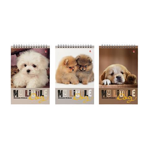 Блокнот на спирали А5, 40л., клетка, Собаки, ассорти, Альт 3-40-509 фото 1