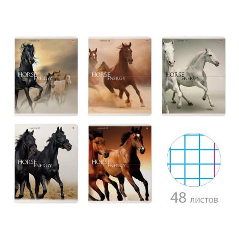 Тетрадь общая на скобе А5, 48л., клетка, Лошади, Альт 7-48-187 фото 1