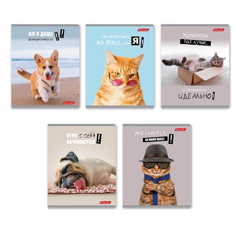 Тетрадь общая на скобе А5, 48 л., клетка, Смешные и шерстяные, 48ТЕТк-001, SVETOCH фото 1