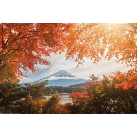 Пазл 1000 элементов Осень в Японии, ФРЕЯ PZL-1000/07 фото 1