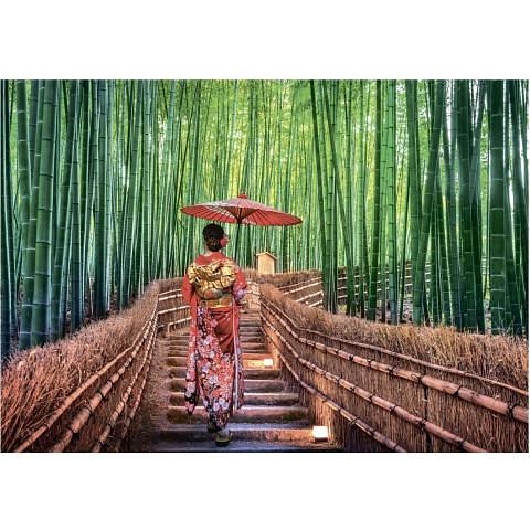 Пазл 1000 элементов Бамбуковый лес, ФРЕЯ PZL-1000/29 фото 1