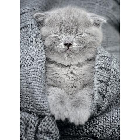 Пазл 500 элементов Комочек тепла, ФРЕЯ PZL-500/27 фото 1