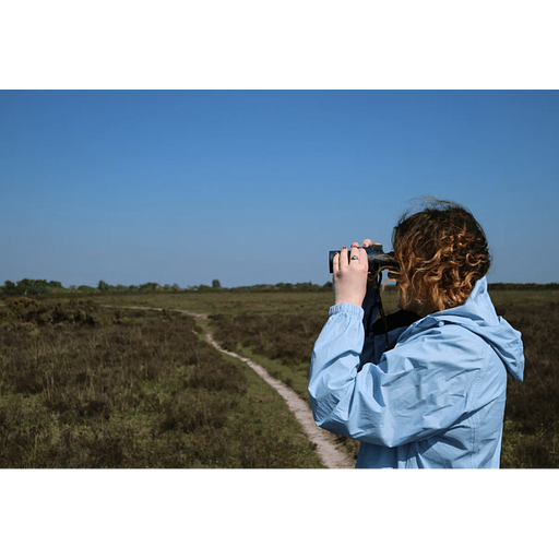 Praktica Бинокль Pioneer R 8x42, водозащита (PRA243) > фото 5