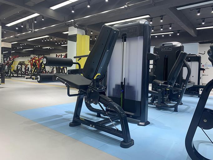 Сгибание ног Insight Fitness TF14 фото 7