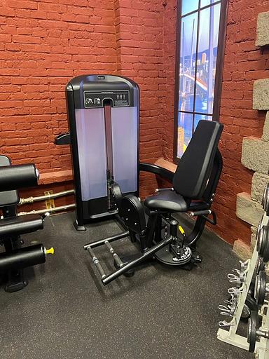 Сведение/разведение ног Insight Fitness TF27 фото 3