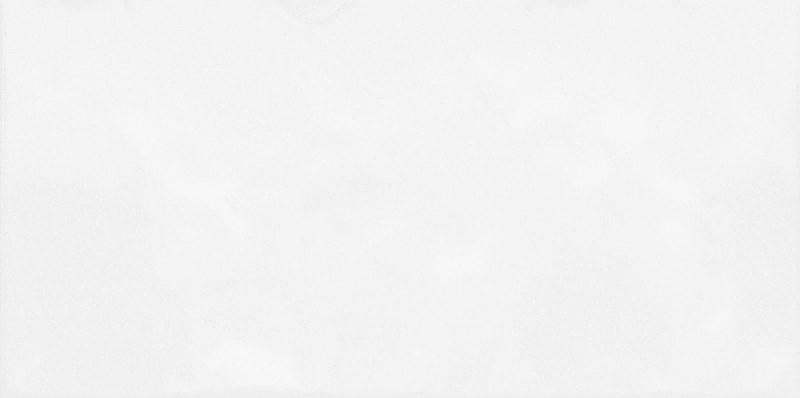 Плитка Alma Ceramica Mirt 249x500 бежевый Глянцевая фото 1