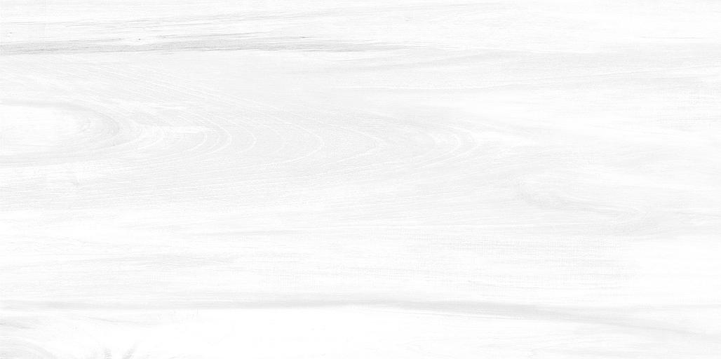 Плитка AltaCera Portland Light 249x500 фото 1