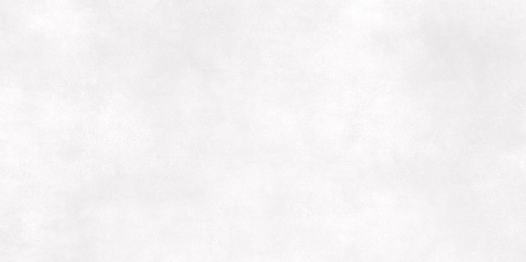 Плитка AltaCera Islandia Light 249x500 фото 1