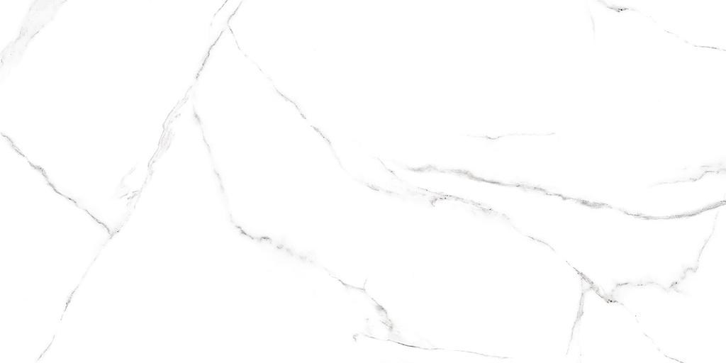 Керамогранит Alma Ceramica Mirage GFA114MRG00P полированный 570x1140 фото 1
