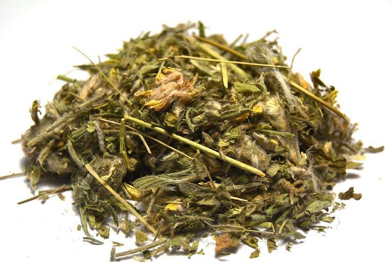 БАД «Астрагал шерстистоцветковый» трава опт фото 2