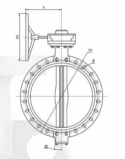 Затвор дисковый с ручным управлением редуктор DN 250 фото 3