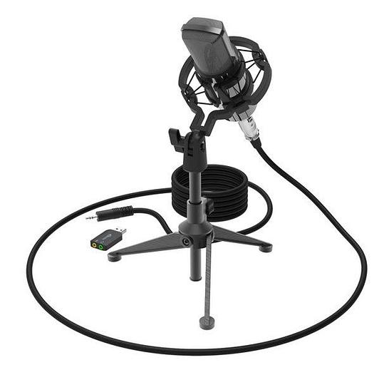 Студийный микрофон Ritmix RDM-160 черный фото 1