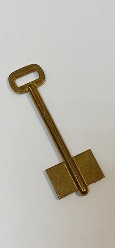 Заготовка ключа RST3D фото 1