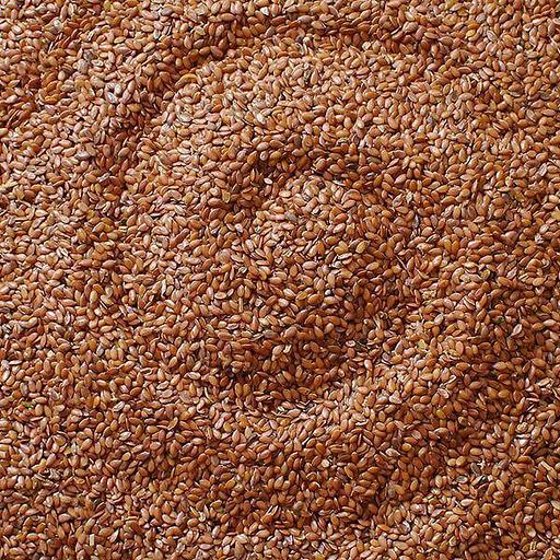 Семена льна фото 1