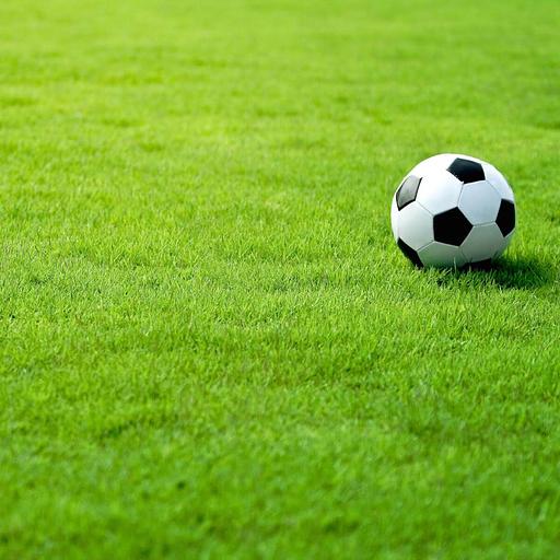 Семена газон спортивный фото 1