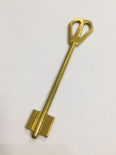 Заготовка ключа М-ЛОК-3 LONG фото 1