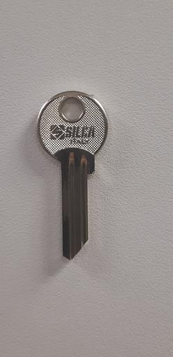 Заготовка ключа FB-17R фото 1