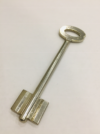 Заготовка ключа СТРАЖ-2 фото 1