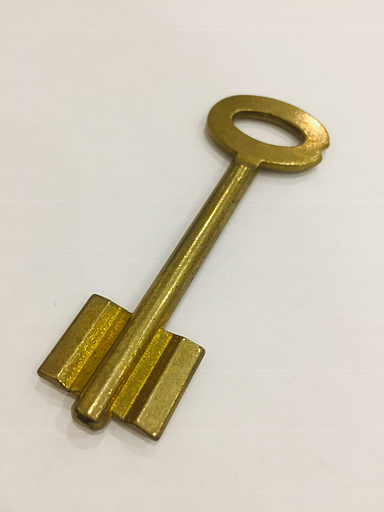 Заготовка ключа СТРАЖ-1 фото 1