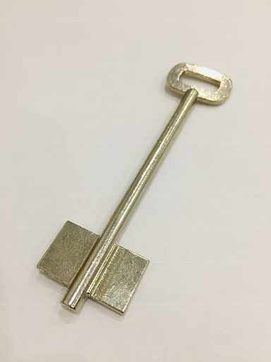 Заготовка ключа РОСТОВ-2 фото 1