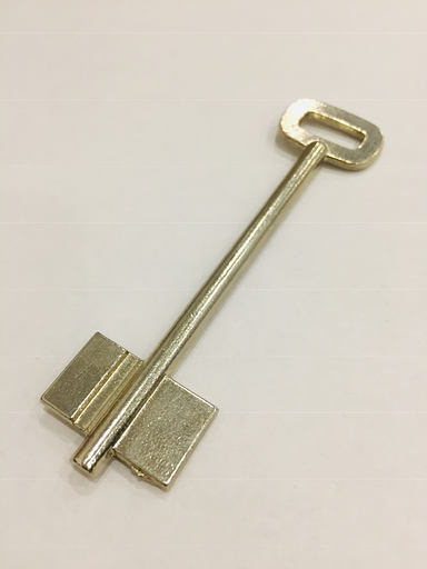 Заготовка ключа РОСТОВ-1 фото 1