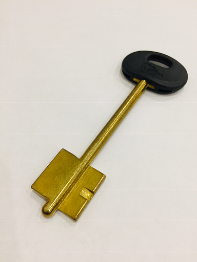 Заготовка ключа Меттэм-6 (50мм) фото 1