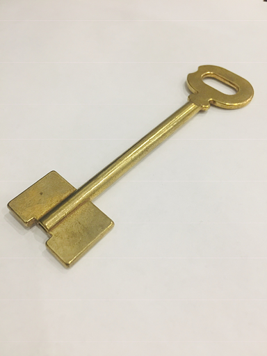 Заготовка ключа ДВ-1 фото 1