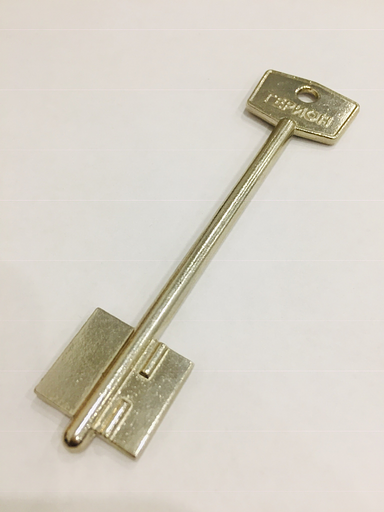 Заготовка ключа ГЕРИОН-3 фото 1