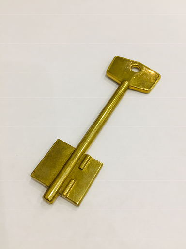 Заготовка ключа ГЕРИОН-2 фото 1