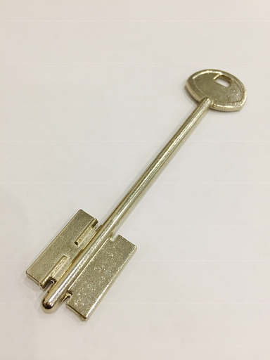 Заготовка ключа Гардиан 8(grd8d) фото 1