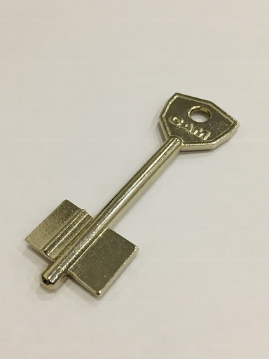 Заготовка ключа АОСАМ 2 фото 1