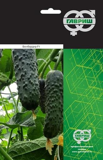 Семена огурца «F1 Бомбардир» опт фото 1