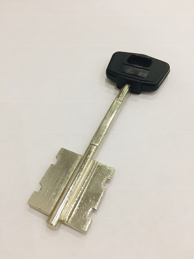 Заготовка ключа CI-9PG (CIZA) OSCAR фото 1