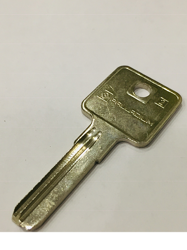 Заготовка ключа PALLADIUM 2 фото 1