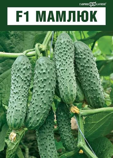 Семена огурца «F1 Мамлюк» опт фото 2