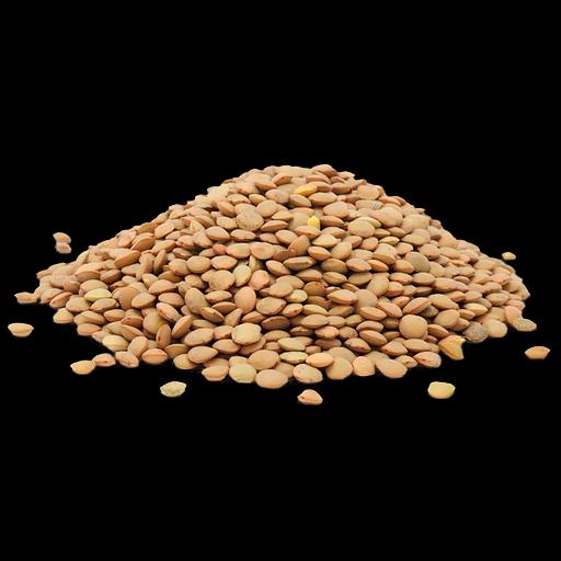 Семена чечевицы «Донская краснозёрная» фото 2