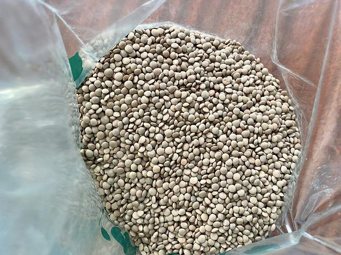 Семена чечевицы «Донская краснозёрная» фото 3