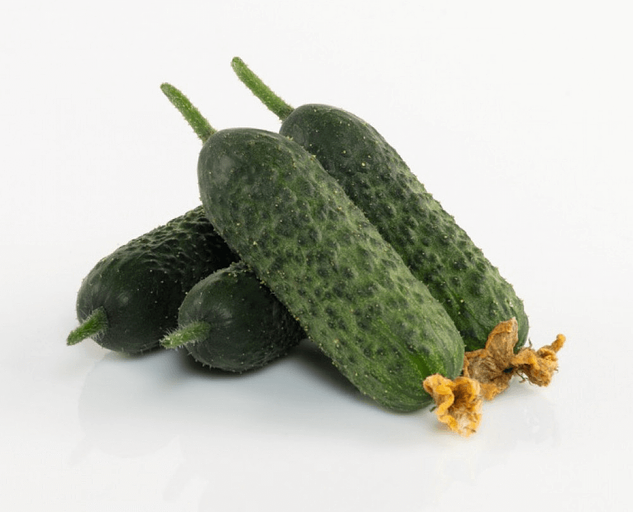 Семена огурца Bejo Zaden «Абсолют» F1 опт фото 1