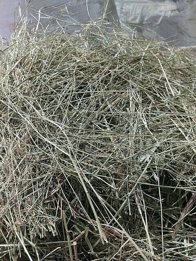 Полевое сено в тюках до 20 шт опт фото 2