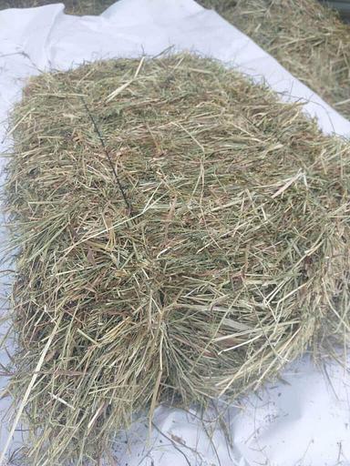 Полевое сено в тюках до 20 шт опт фото 3