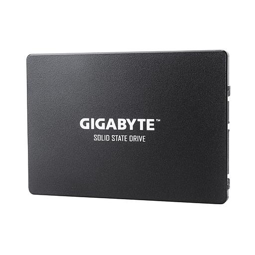Твердотельный накопитель SSD Gigabyte GP-GSTFS31256GTND (4719331804329) 256GB фото 1