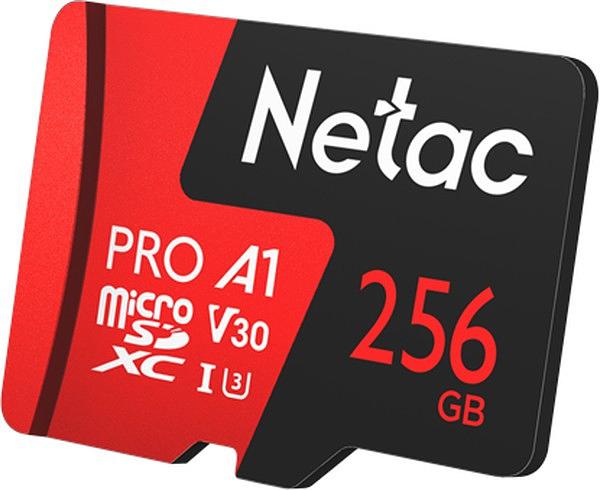 Карта памяти MicroSD Netac P500 Extreme Pro 256GB NT02P500PRO-256G-R фото 1