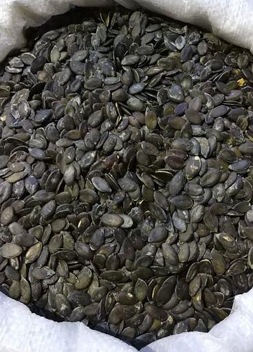 Тыквенная семечка фото 1