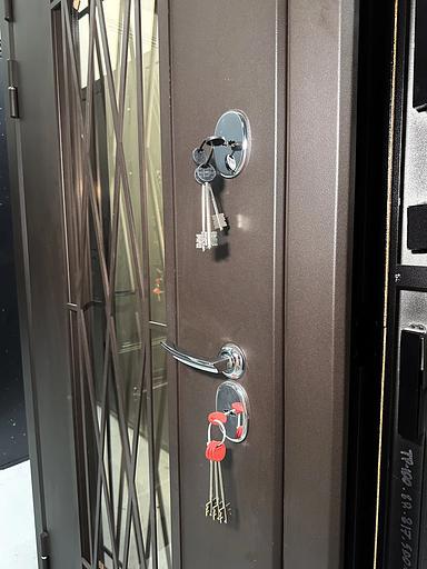 Дверь Entryx Веста Термо Макс ОПТ фото 9