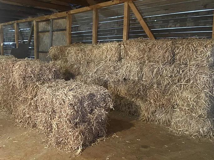 Древесная шерсть 8-‍10 мм‍, 1 кг ОПТ фото 2