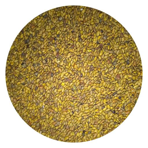 Люцерна Вега 87 семена фото 1