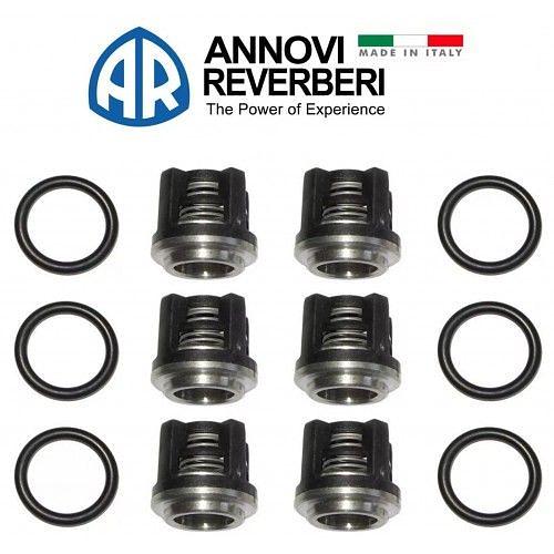 Комплект клапанов и уплотнений для AR RR 15.20 (40142 KTRI) фото 1